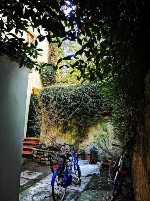 Florentine Style Apartment In San Frediano 피렌체 외부 사진